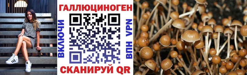 Галлюциногенные грибы Psilocybine cubensis  Купить закладки  Георгиевск 